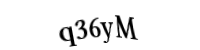 Please type the letters and numbers below