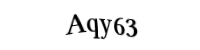 Please type the letters and numbers below