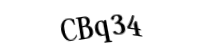 Please type the letters and numbers below
