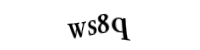 Please type the letters and numbers below