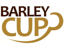 Barley Cup Wholesale