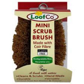 LoofCo Mini-Scrub Brush -bulk