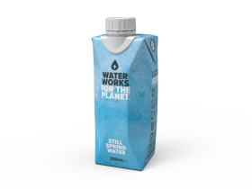 Water Works Planet Friendly Spring Water 330ml x12